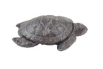 Cast Iron Decorative Turtle Paperweight 4"