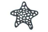 Seaworn Blue Cast Iron Starfish Trivet 7"